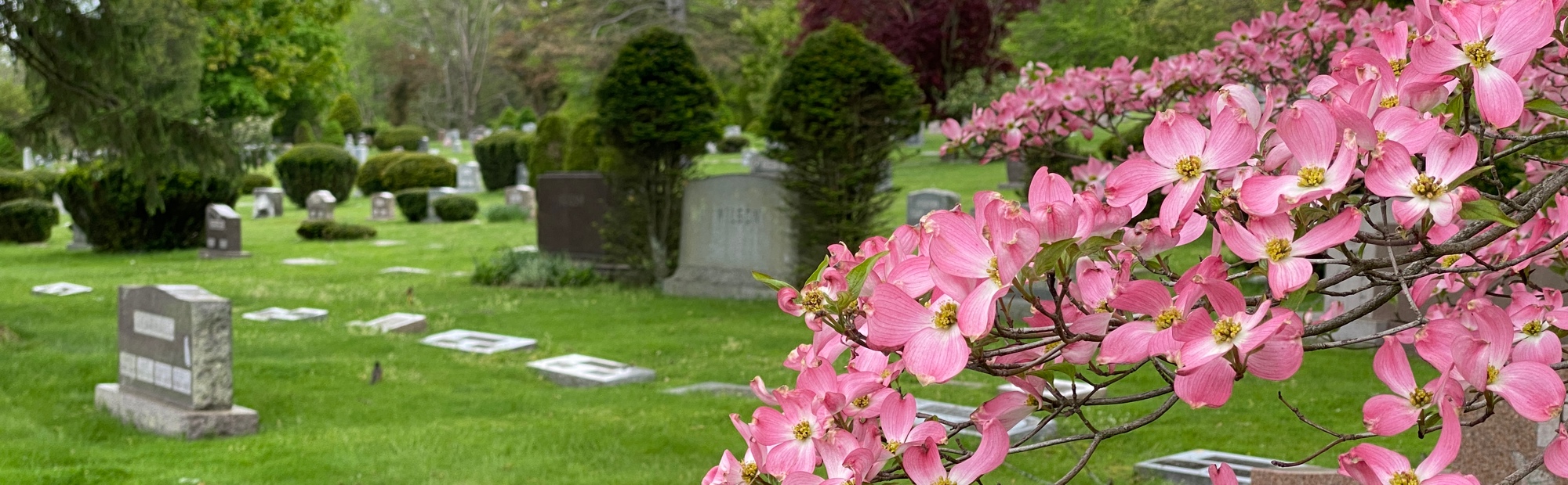 Cemetery Services for Stark County, OH Canton Cemetery Association